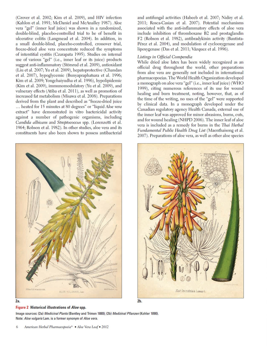 Aloe Vera Leaf – American Herbal Pharmacopoeia®