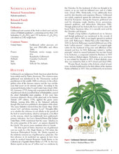 Load image into Gallery viewer, Goldenseal Root