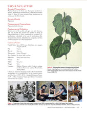 Load image into Gallery viewer, Kava Rhizome and Root