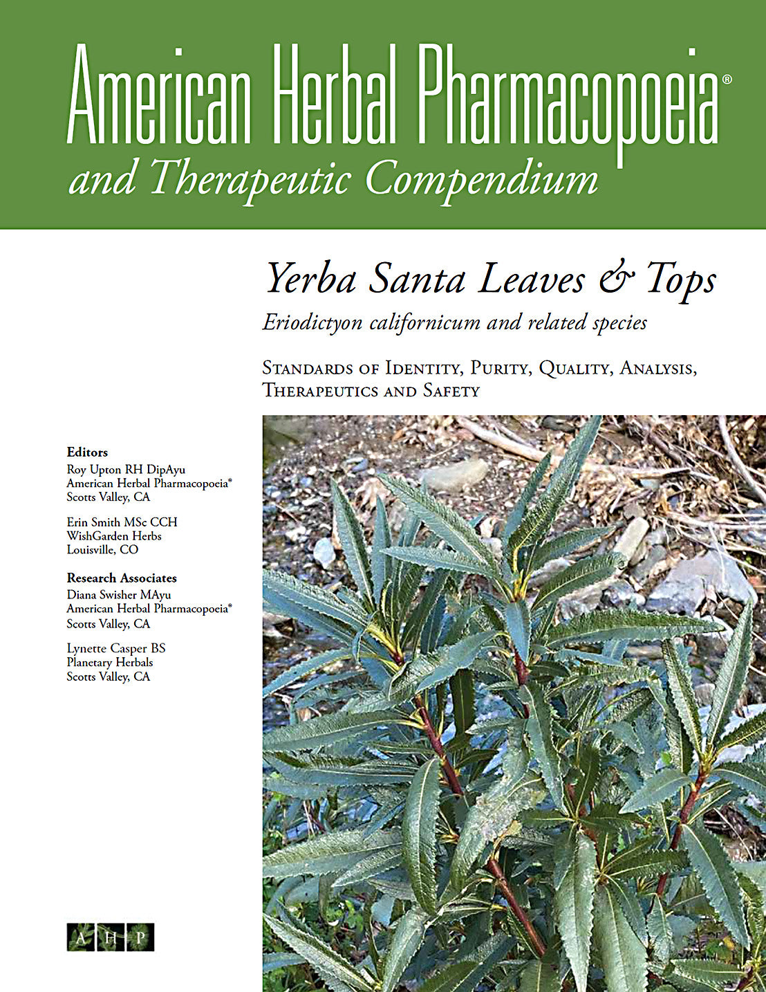 Yerba Santa Leaves and Tops