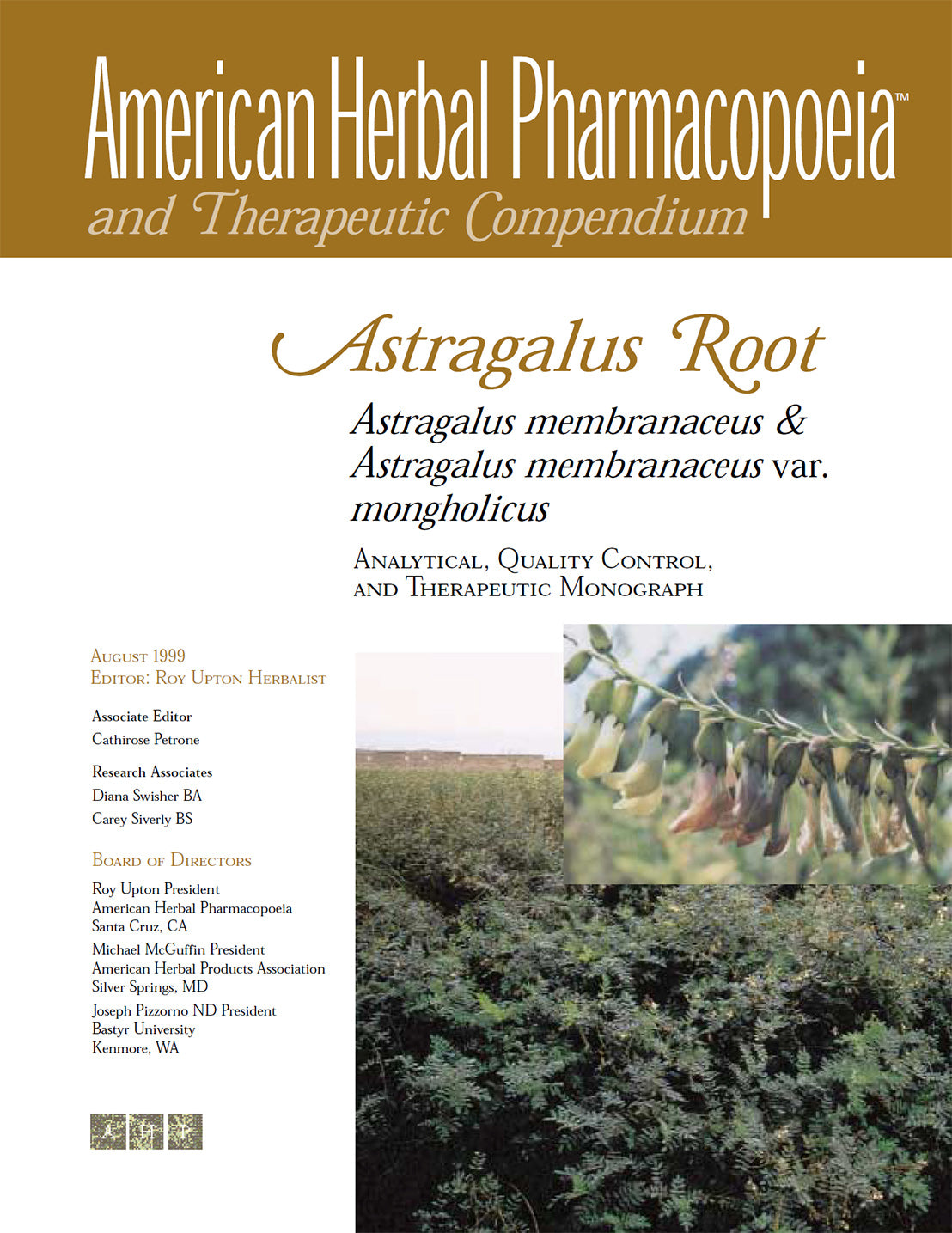 Astragalus Root