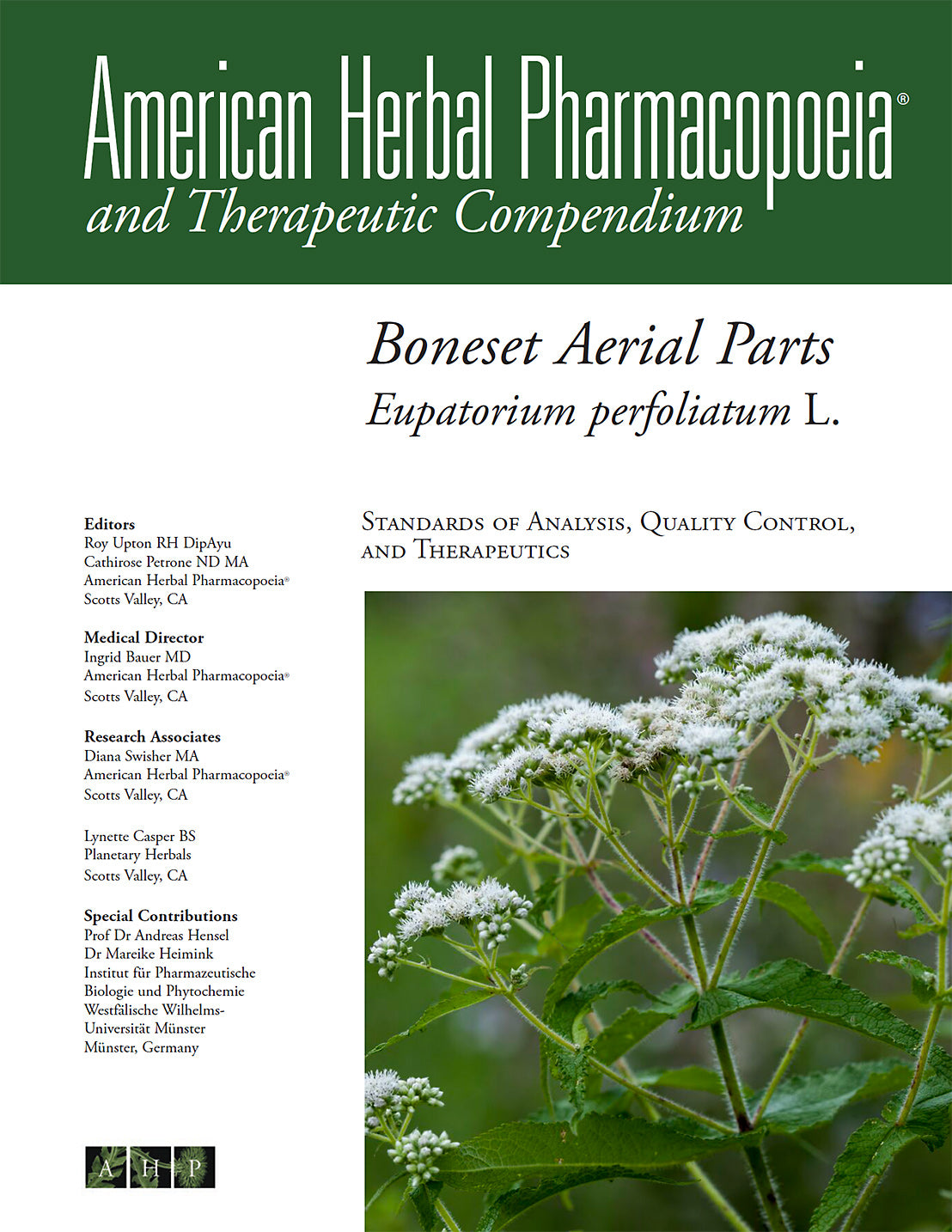Boneset Aerial Parts