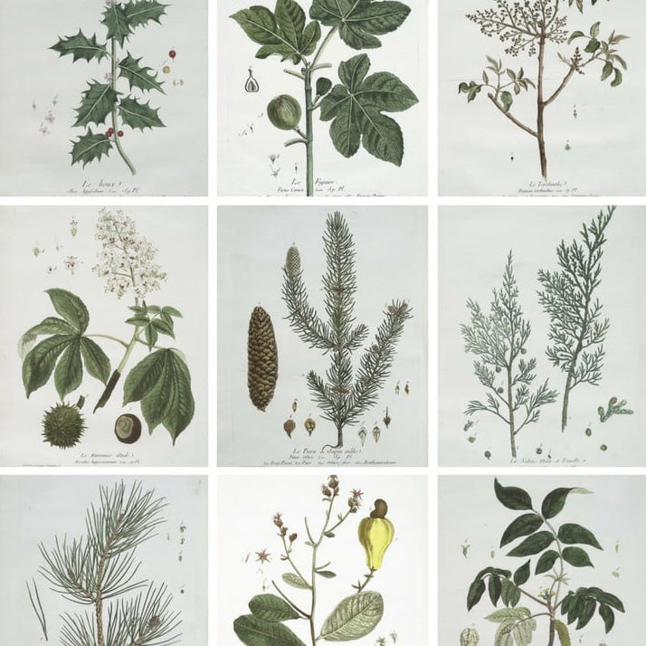 AHP-Verified™ BRM #1