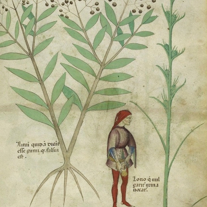 AHP-Verified™ BRM #5 - 3gm