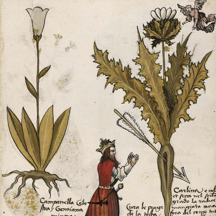 AHP-Verified™ BRM #2