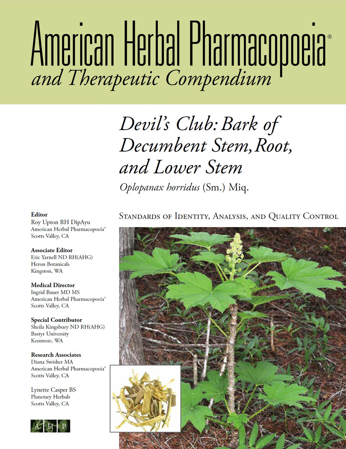 Devil's Club: Bark of Decumbent Stem, Root, and Lower Stem