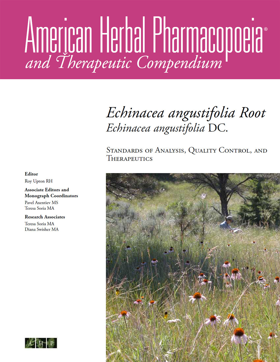 echinacea angustifolia
