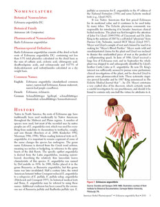 Echinacea angustifolia Root
