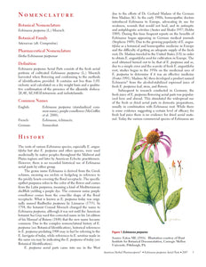 Echinacea purpurea Aerial Parts