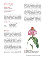 Load image into Gallery viewer, Echinacea purpurea Root