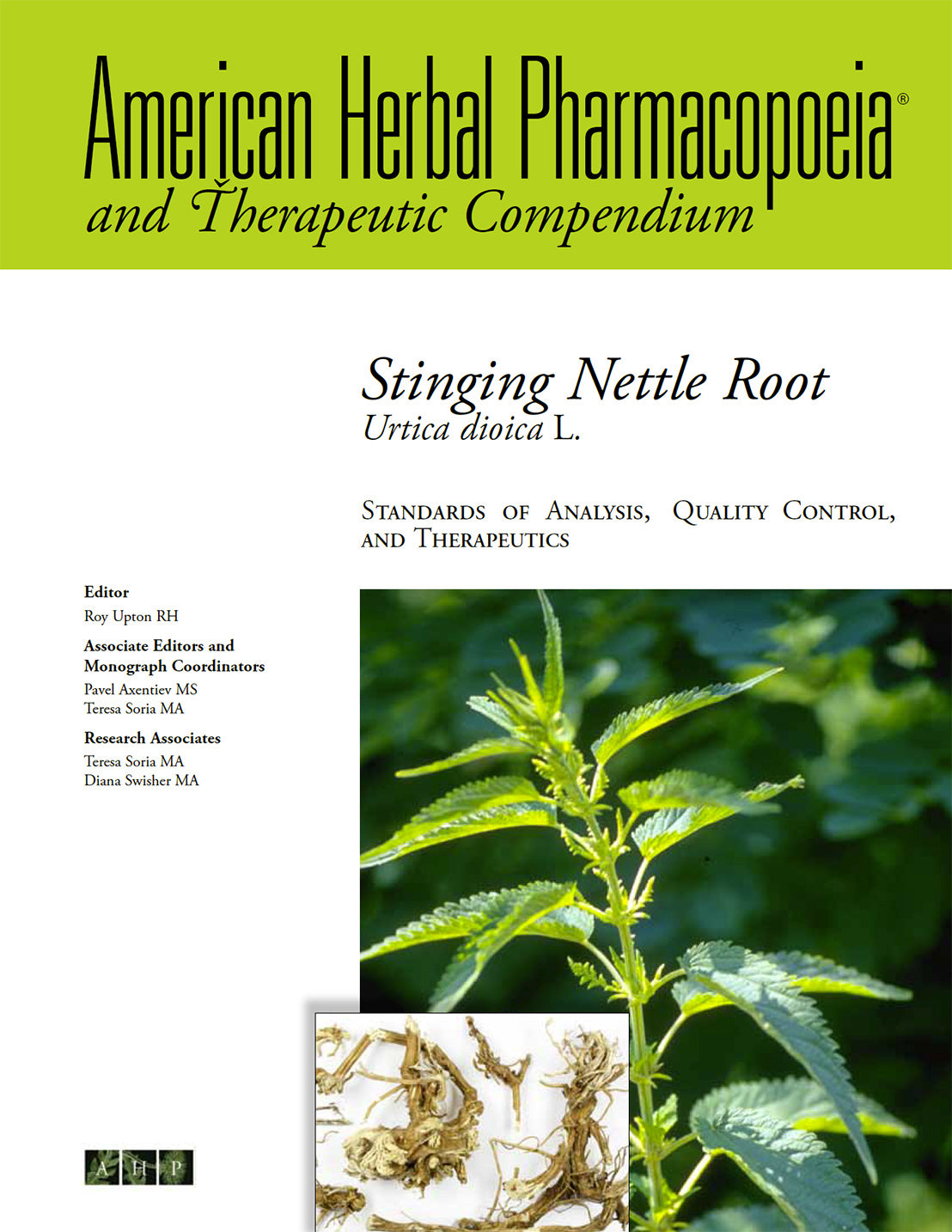 Stinging Nettle Root
